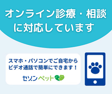 オンライン診療