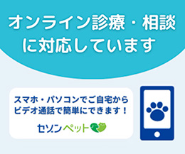 オンライン診療