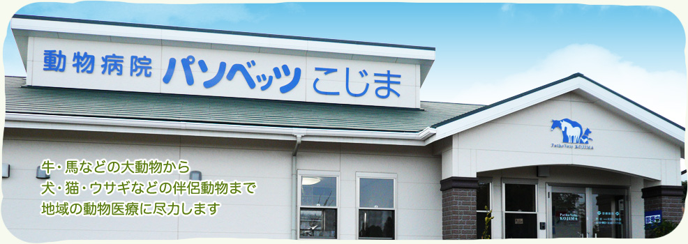 牛・馬などの大動物から犬・猫・ウサギなどの伴侶動物まで　地域の動物医療に尽力します。