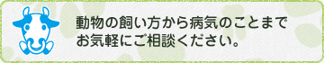 動物の飼い方から病気のことまでお気軽にご相談ください。